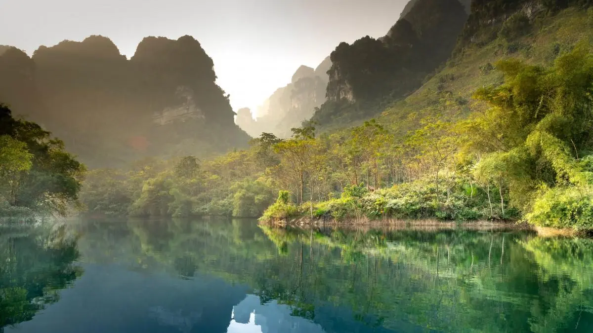 可靠性高性能独特